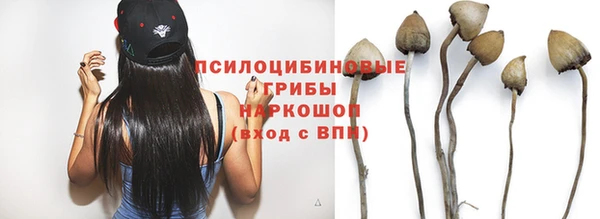 твердый Горно-Алтайск