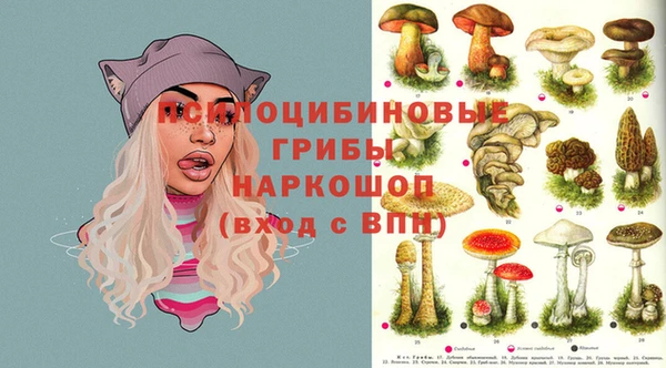 твердый Горно-Алтайск