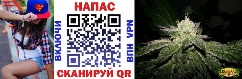 Конопля Amnesia  Злынка 